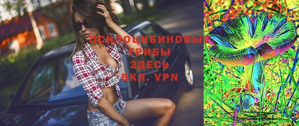 гидропоника Алзамай